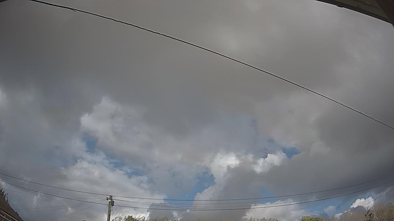 20261009_133442_cam2.jpg