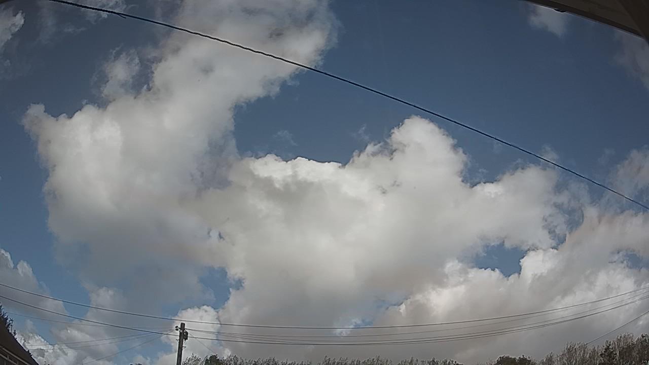 20261009_135106_cam2.jpg