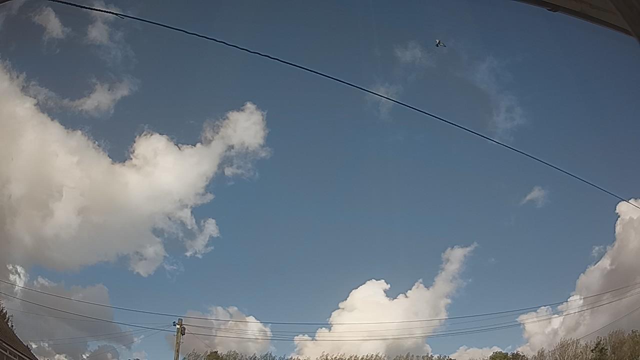 20261009_135546_cam2.jpg