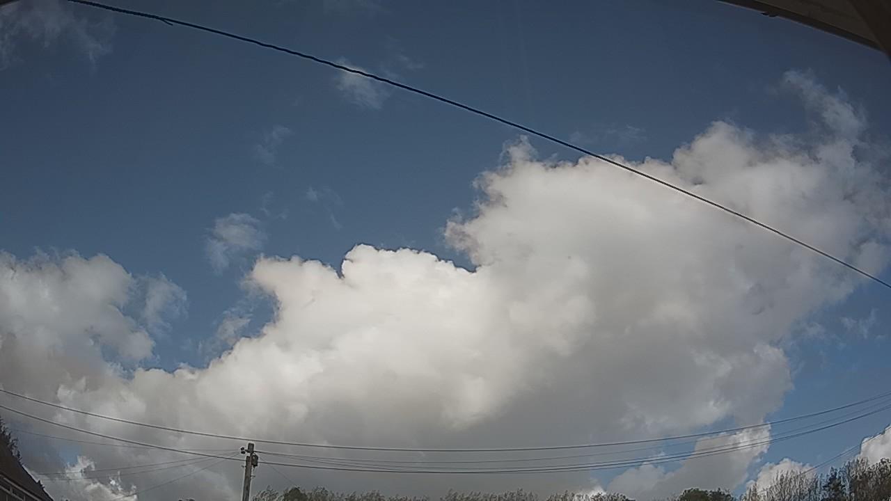 20261009_140103_cam2.jpg