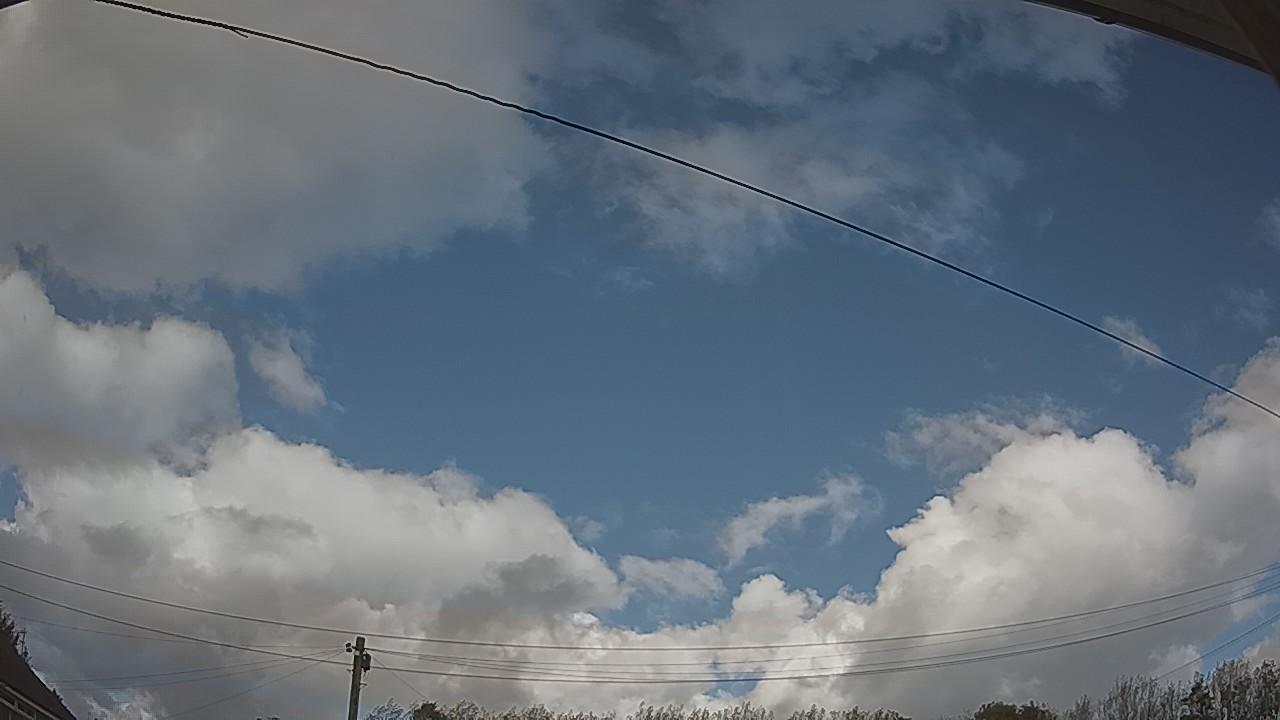 20261009_140342_cam2.jpg