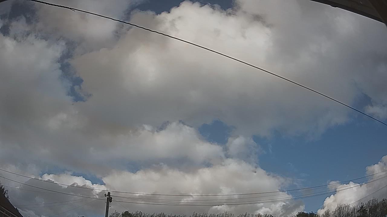 20261009_140621_cam2.jpg