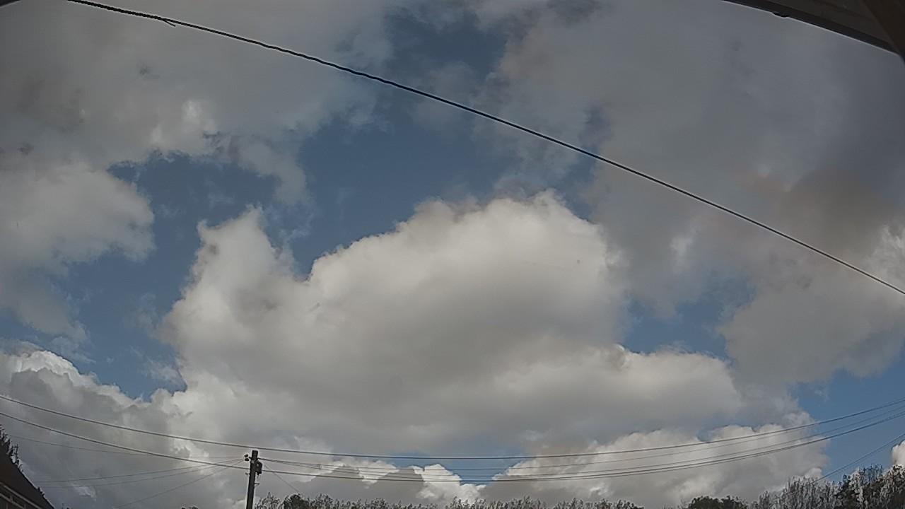 20261009_140901_cam2.jpg