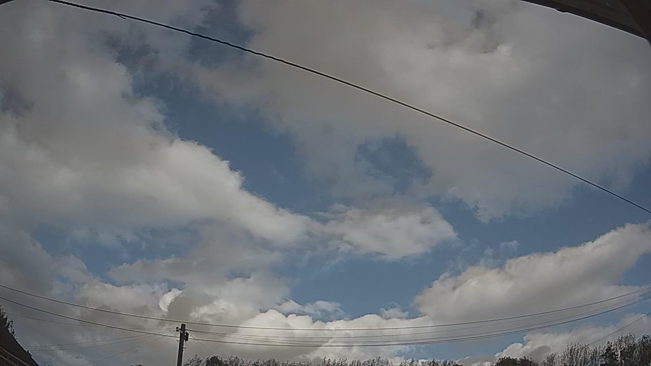 20261009_141140_cam2.jpg