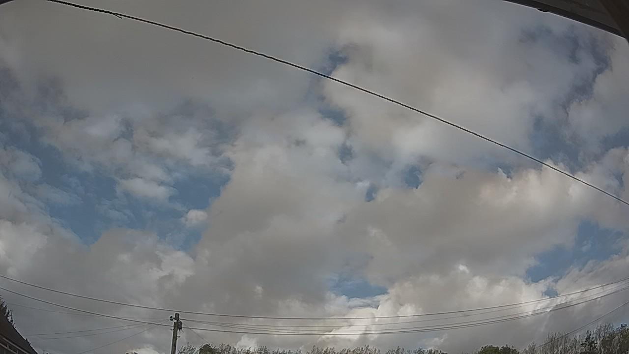 20261009_142216_cam2.jpg