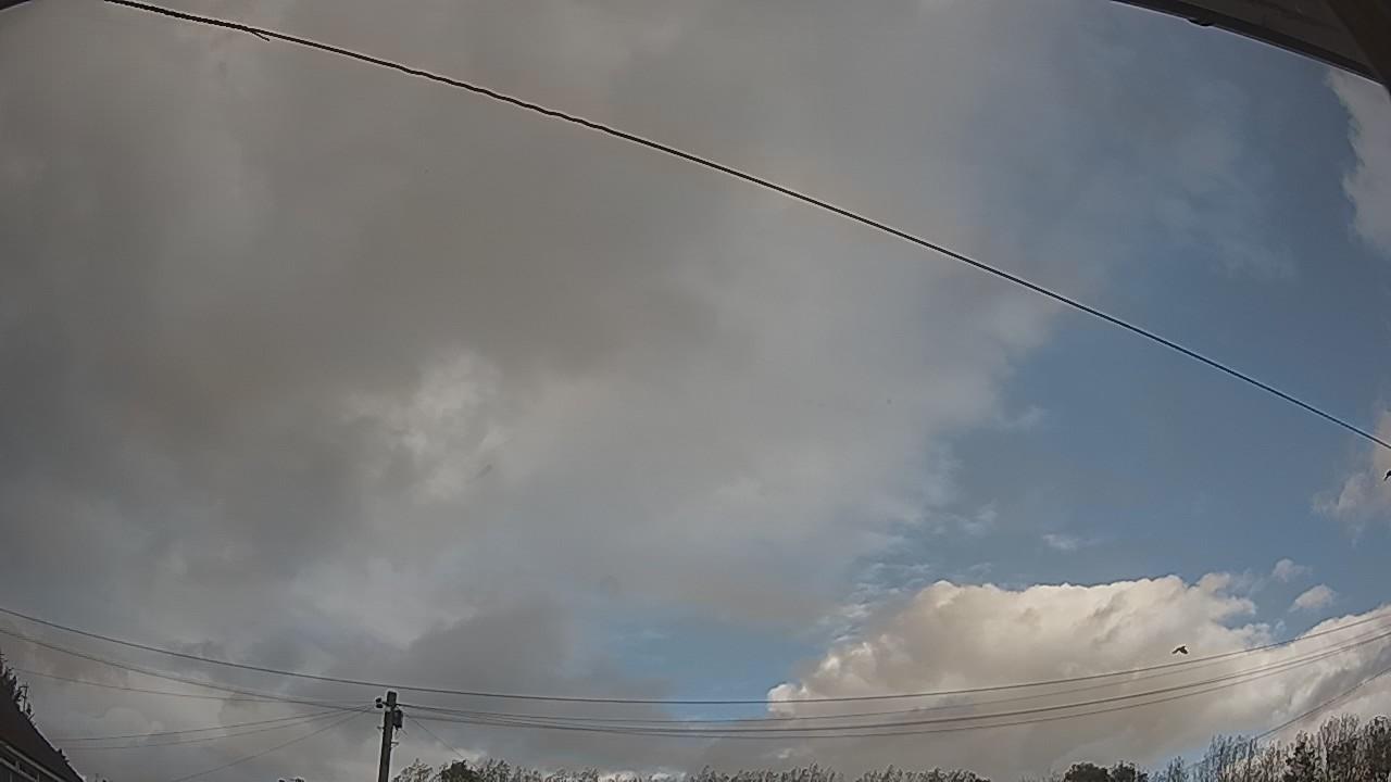 20261009_145404_cam2.jpg