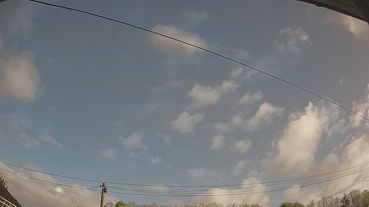 20261010_084950_cam2.jpg