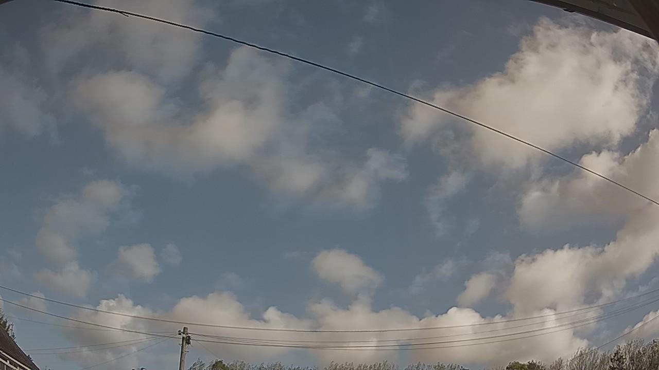 20261010_094036_cam2.jpg