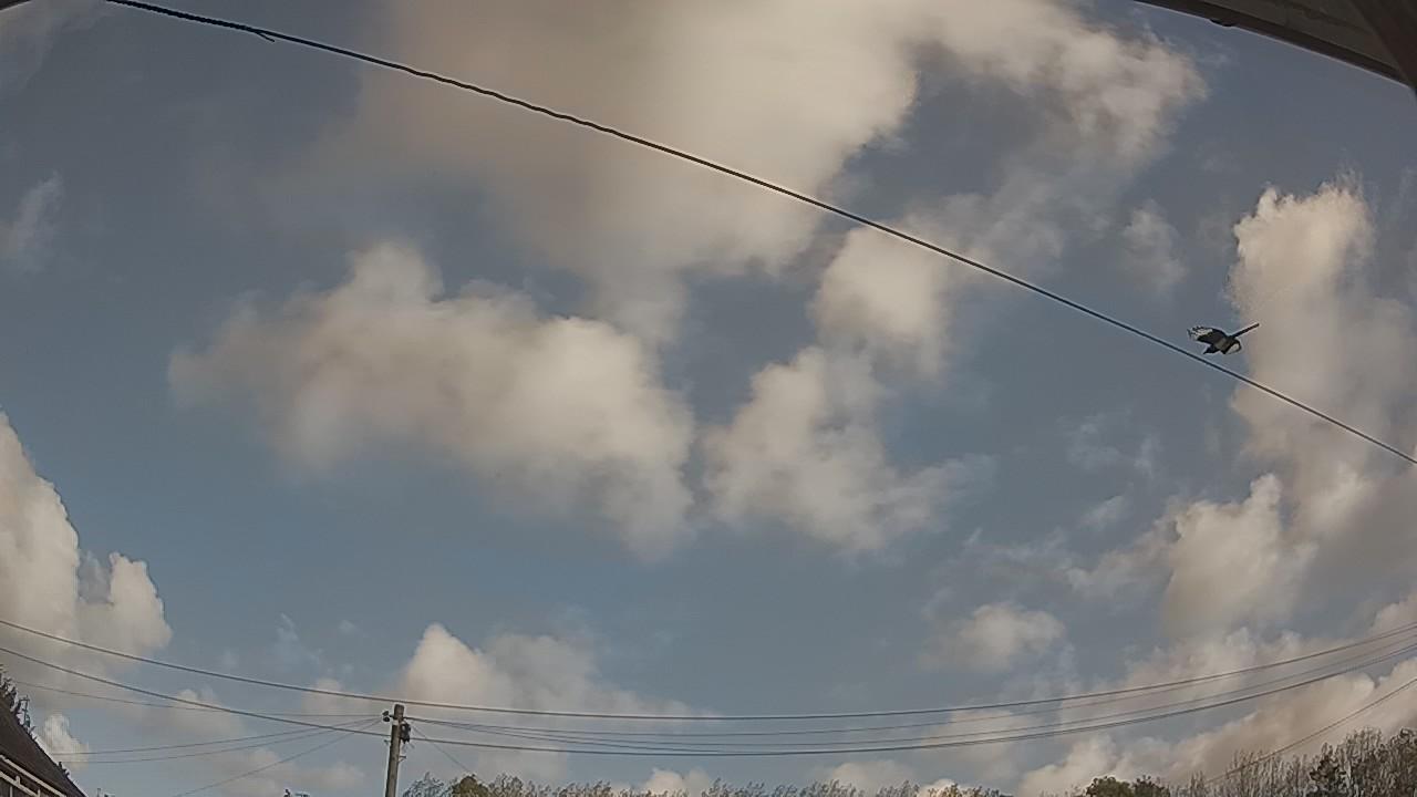 20261010_094400_cam2.jpg