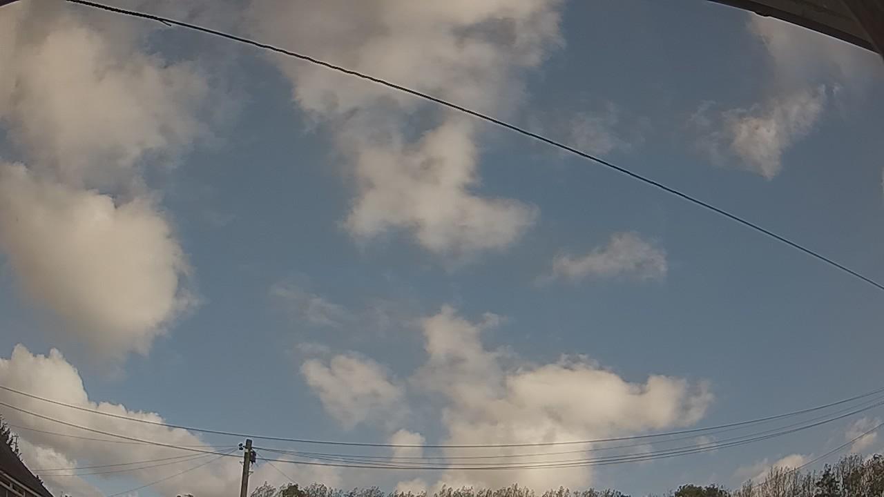 20261010_094724_cam2.jpg