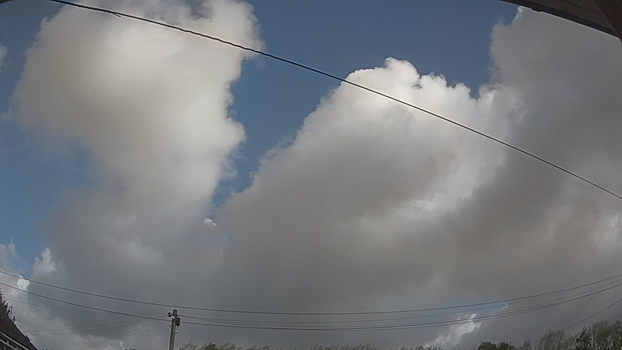 20261010_100406_cam2.jpg