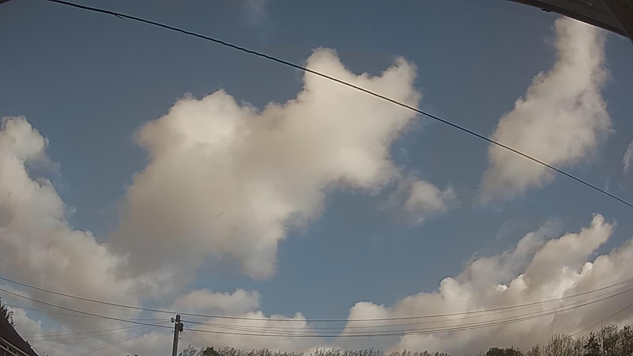 20261010_101351_cam2.jpg