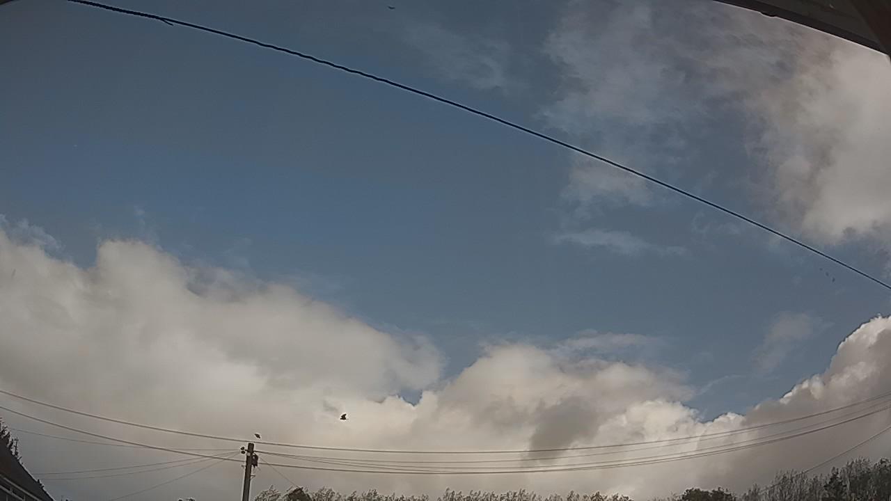 20261010_104350_cam2.jpg