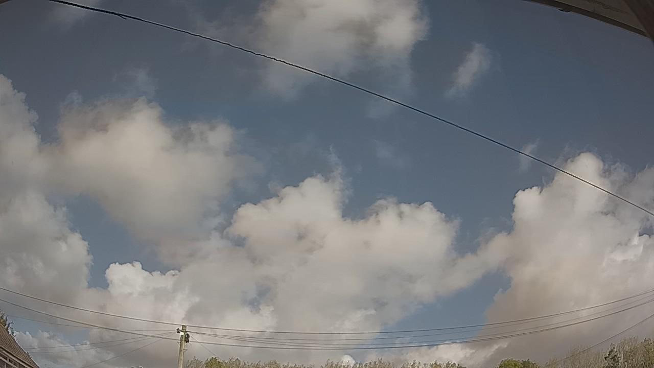 20261010_115603_cam2.jpg