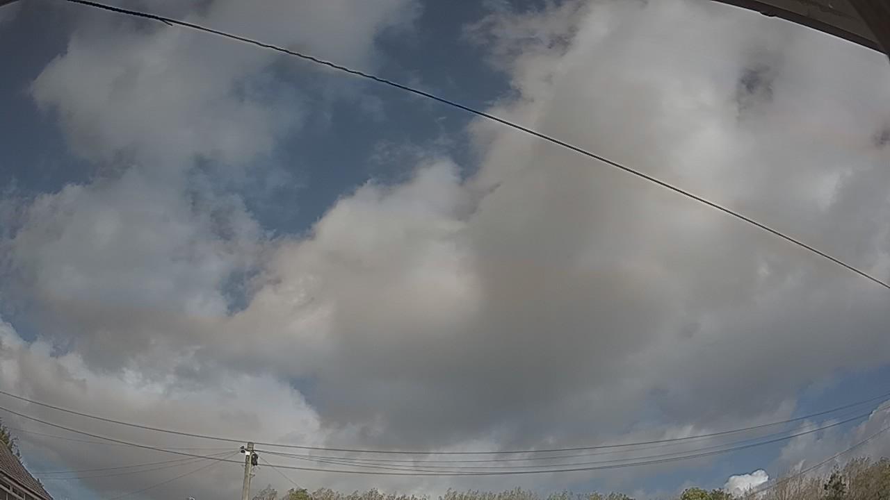 20261010_121351_cam2.jpg