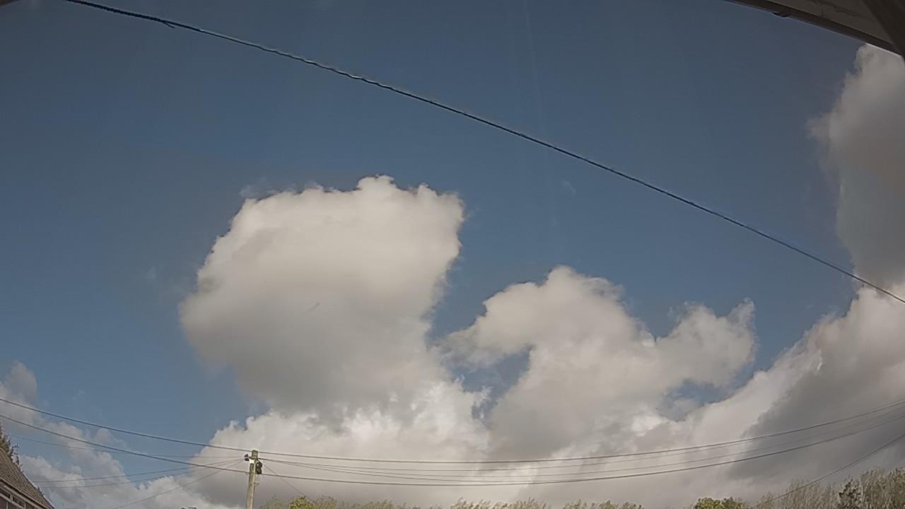 20261010_121724_cam2.jpg
