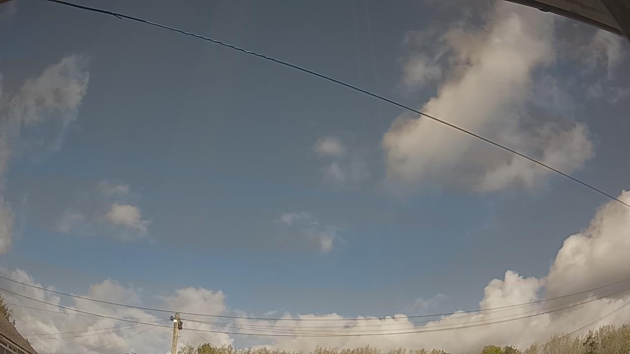 20261010_124117_cam2.jpg