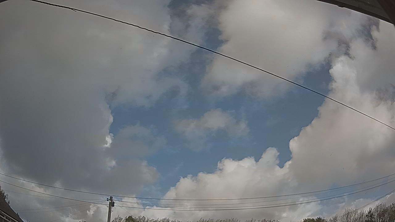 20261010_124541_cam2.jpg