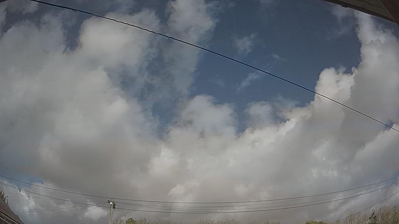 20261010_125216_cam2.jpg