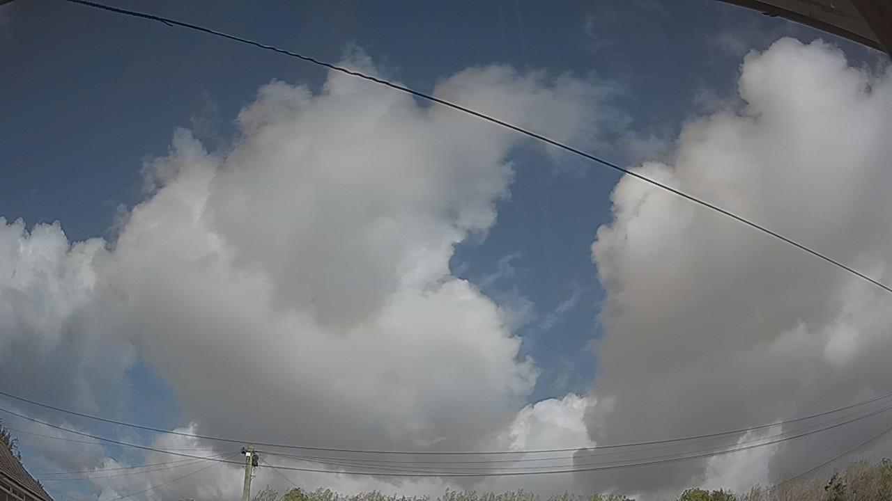 20261010_125639_cam2.jpg