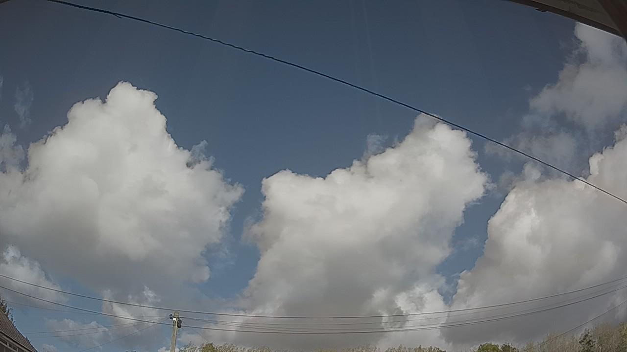 20261010_125937_cam2.jpg