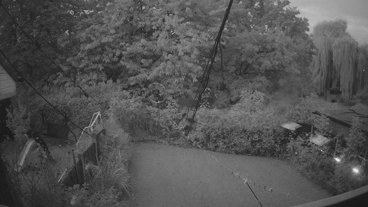 20261011_055611_cam1.jpg