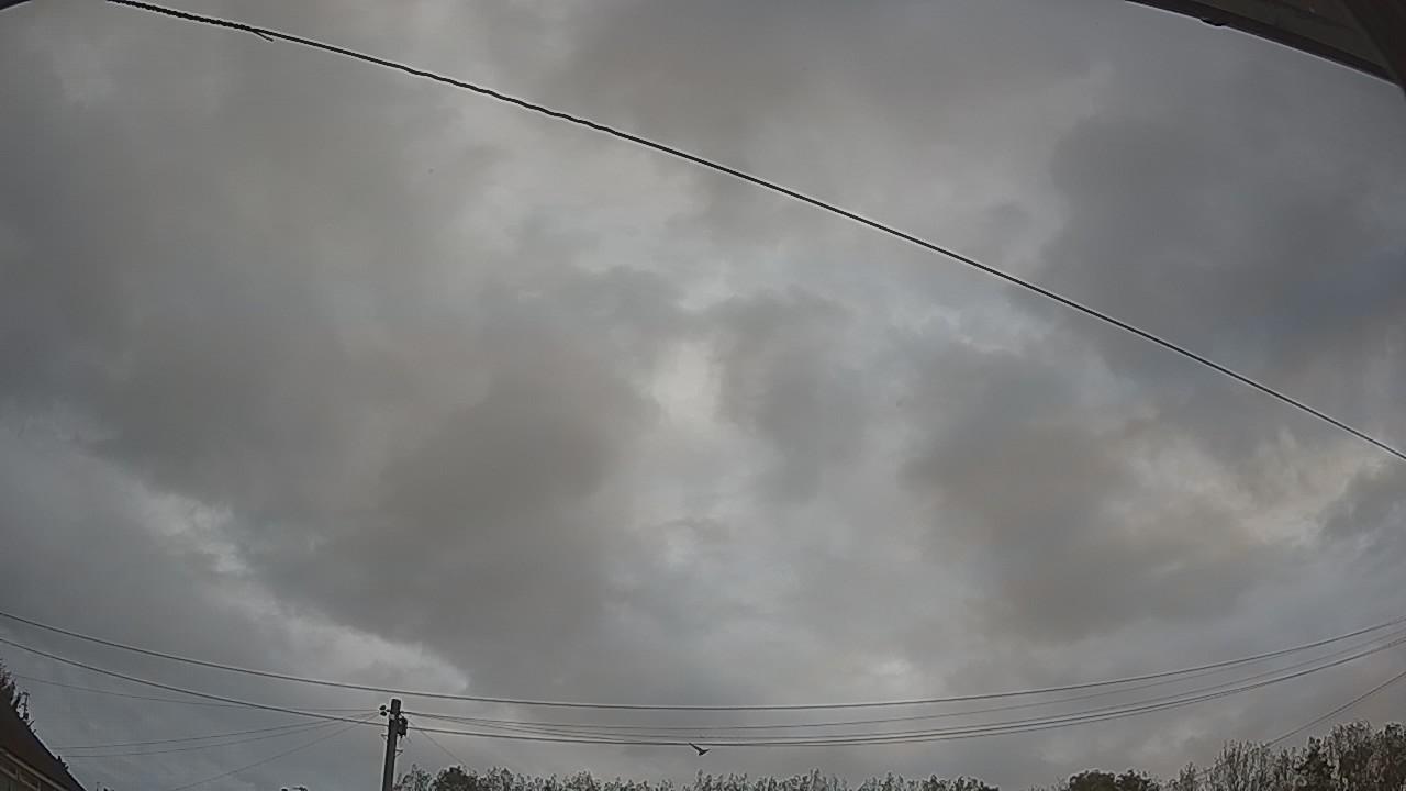 20261011_072709_cam2.jpg