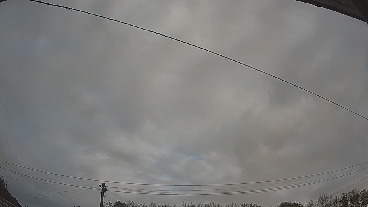 20261011_075010_cam2.jpg
