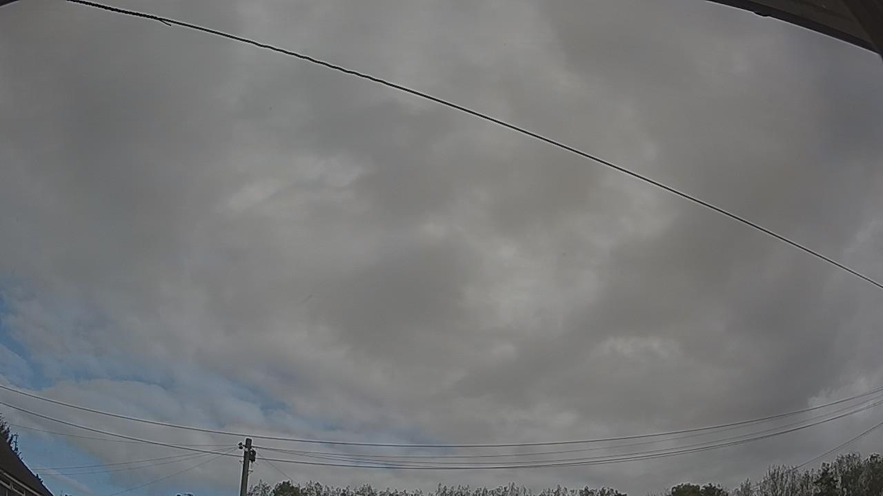 20261011_101328_cam2.jpg