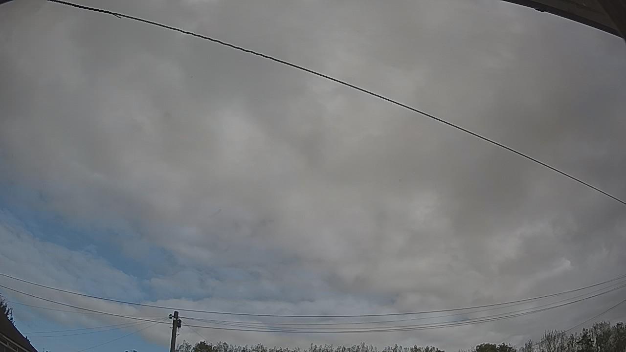 20261011_101813_cam2.jpg