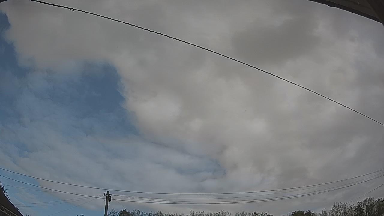 20261011_102259_cam2.jpg