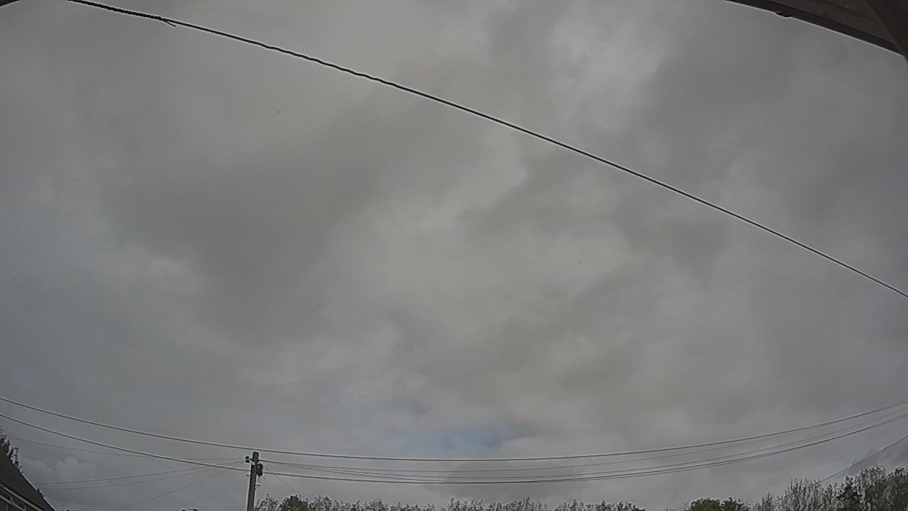 20261011_114525_cam2.jpg