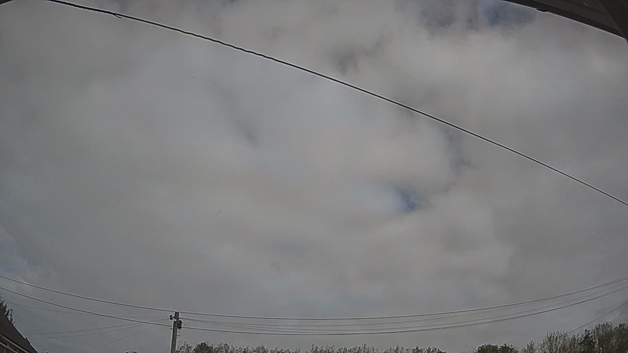 20261011_115455_cam2.jpg