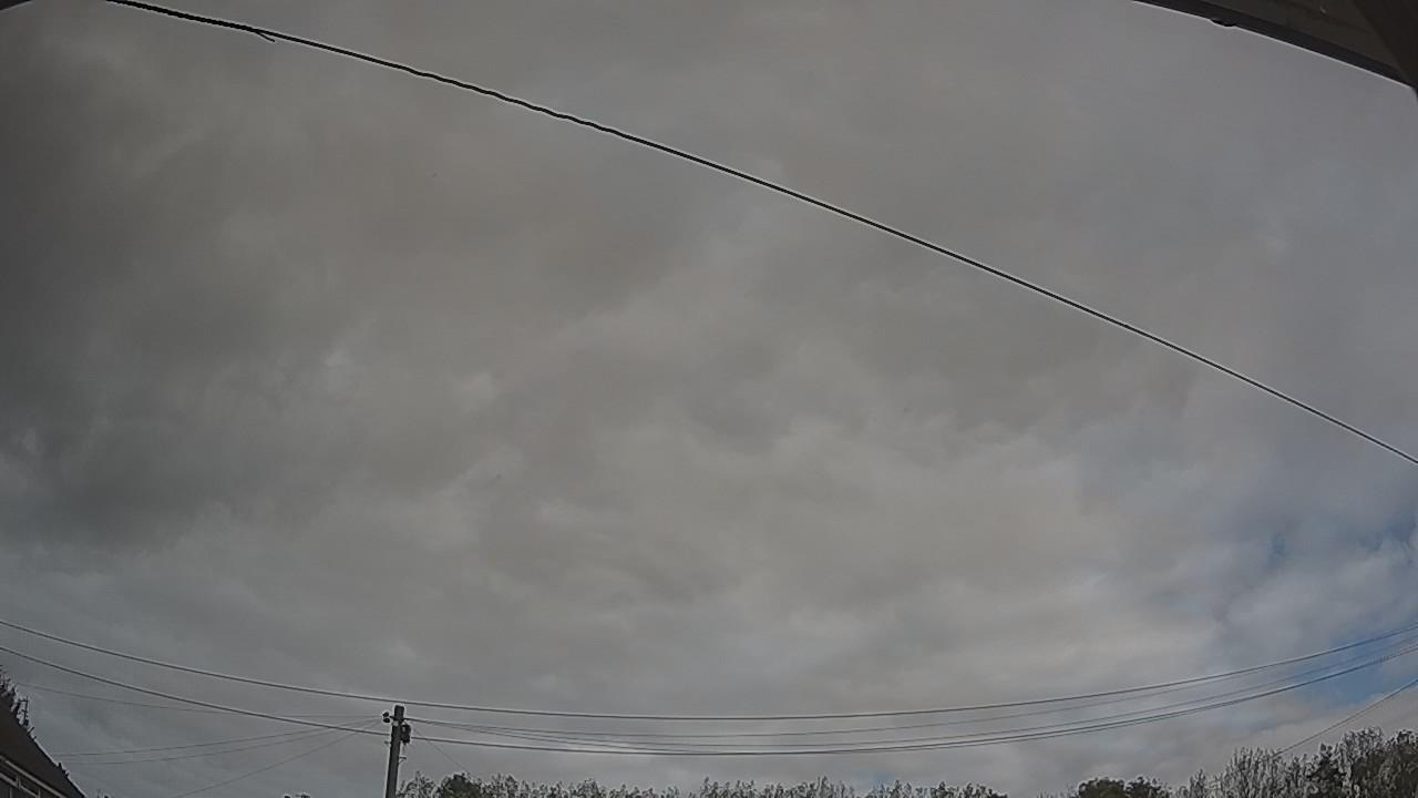 20261011_121751_cam2.jpg