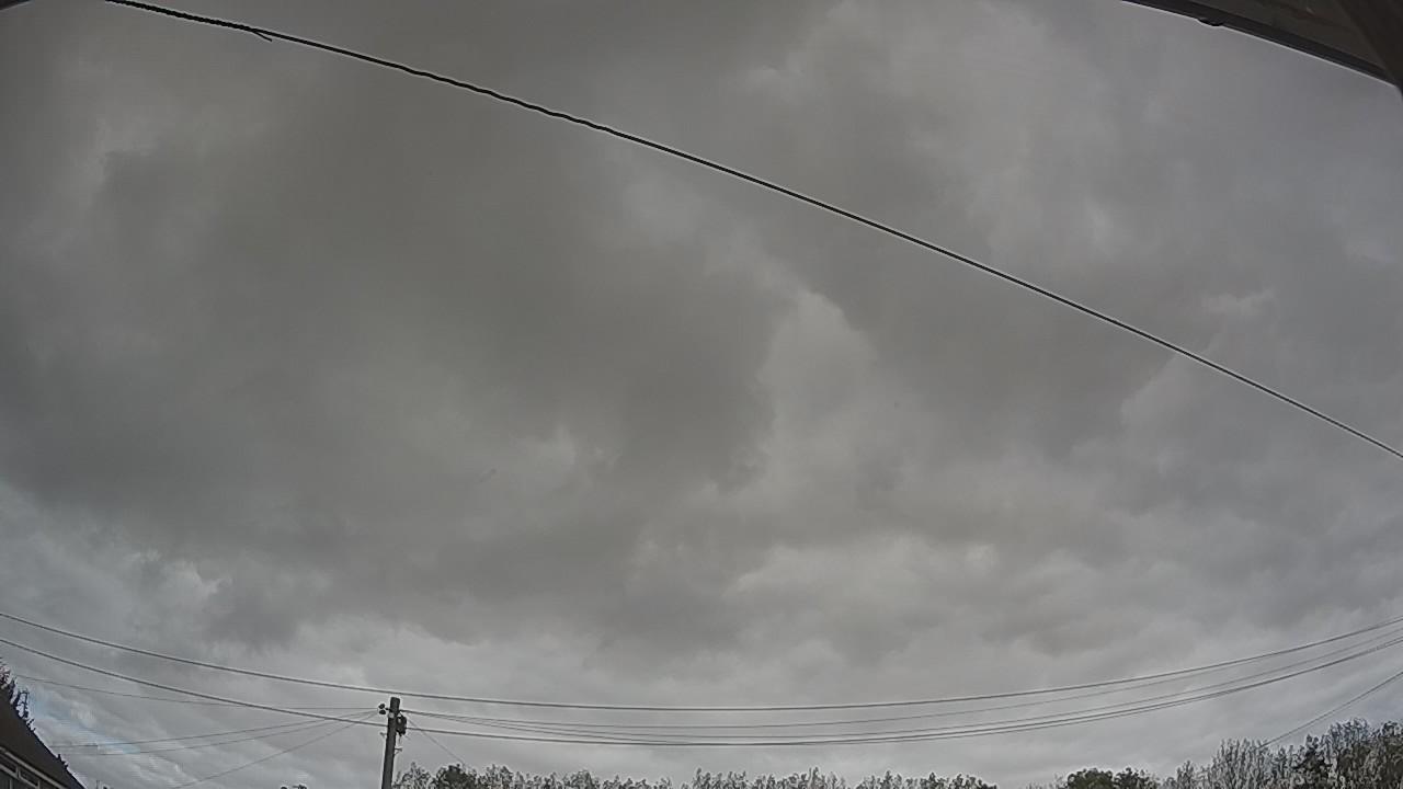 20261011_122703_cam2.jpg