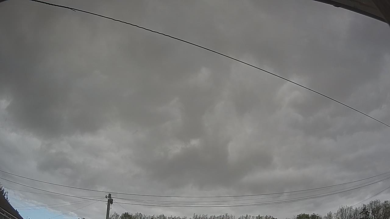 20261011_123616_cam2.jpg