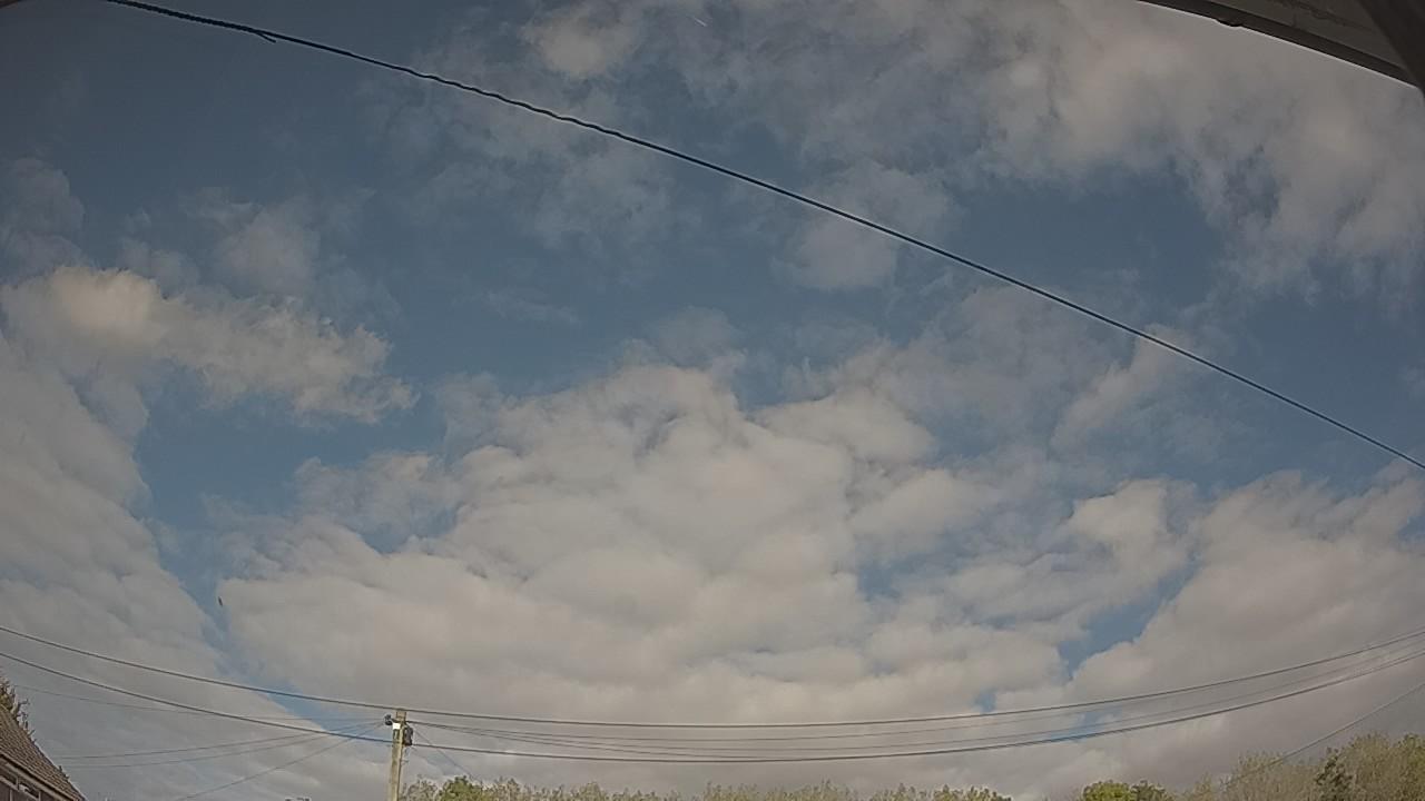 20261011_131828_cam2.jpg