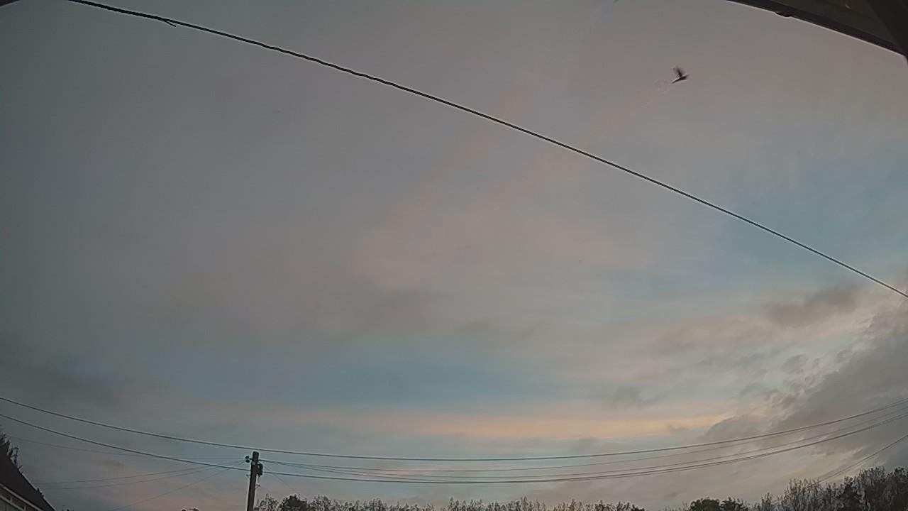 20261012_062138_cam2.jpg