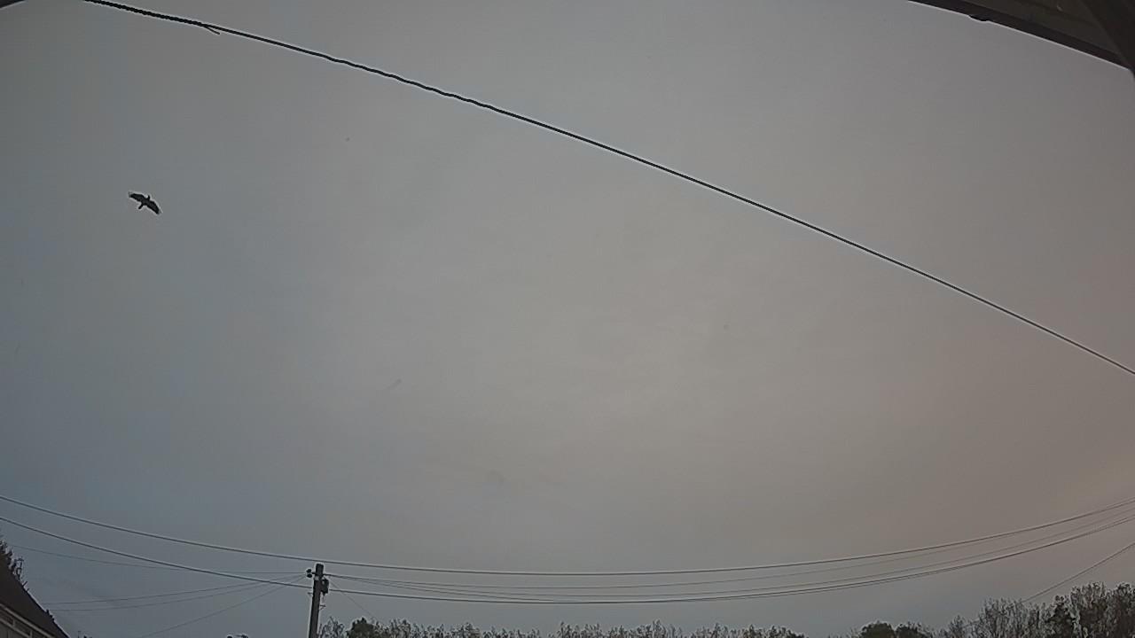 20261012_065634_cam2.jpg