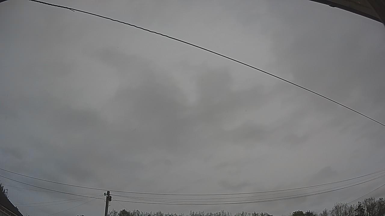 20261012_080240_cam2.jpg