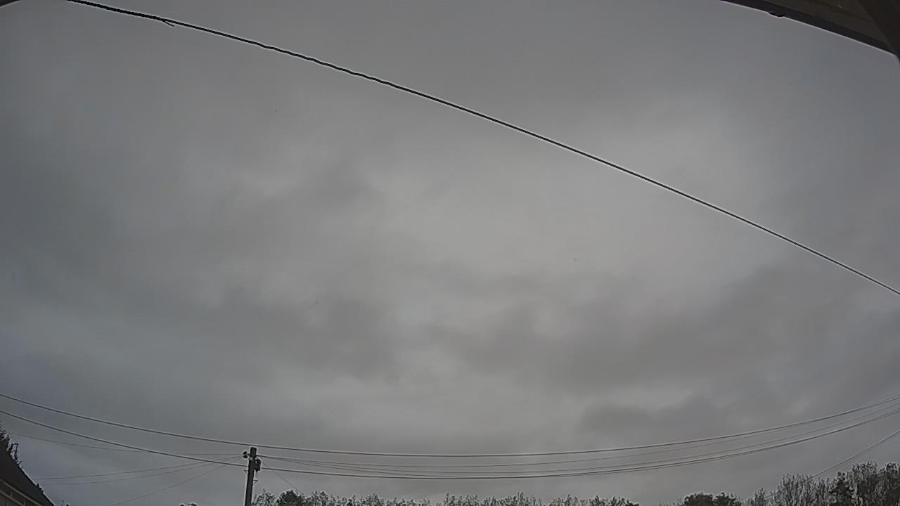 20261012_081841_cam2.jpg