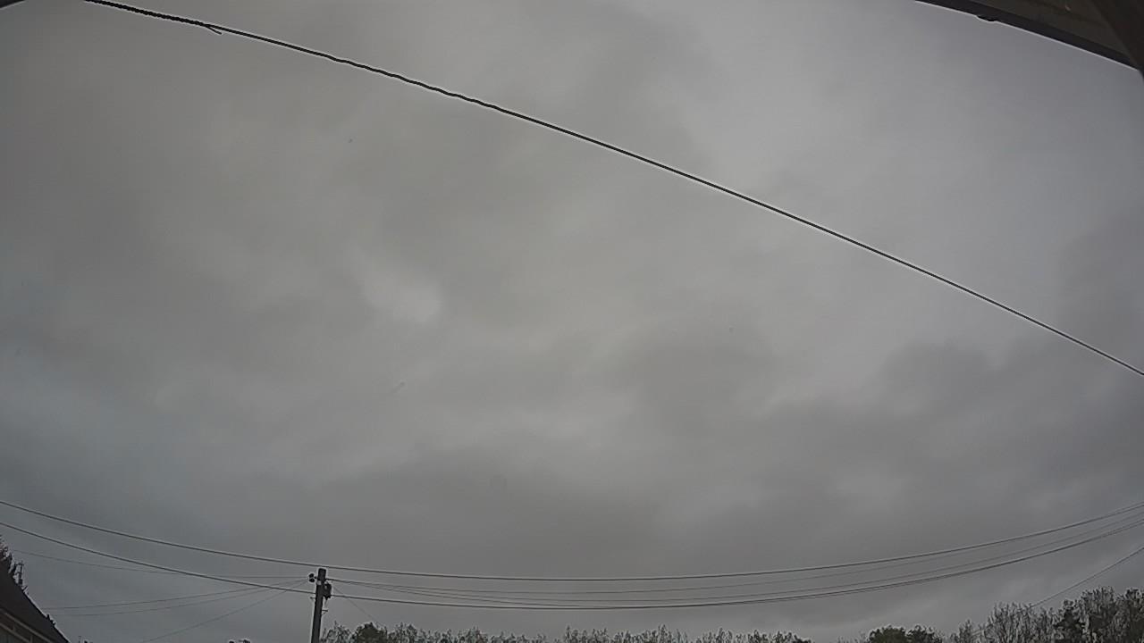 20261012_082641_cam2.jpg