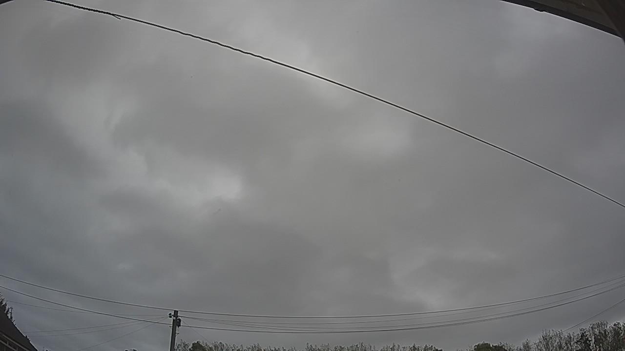 20261012_101333_cam2.jpg