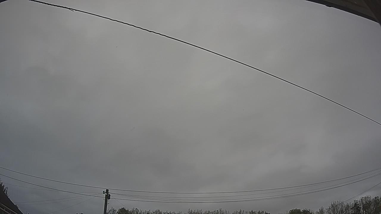 20261012_110446_cam2.jpg