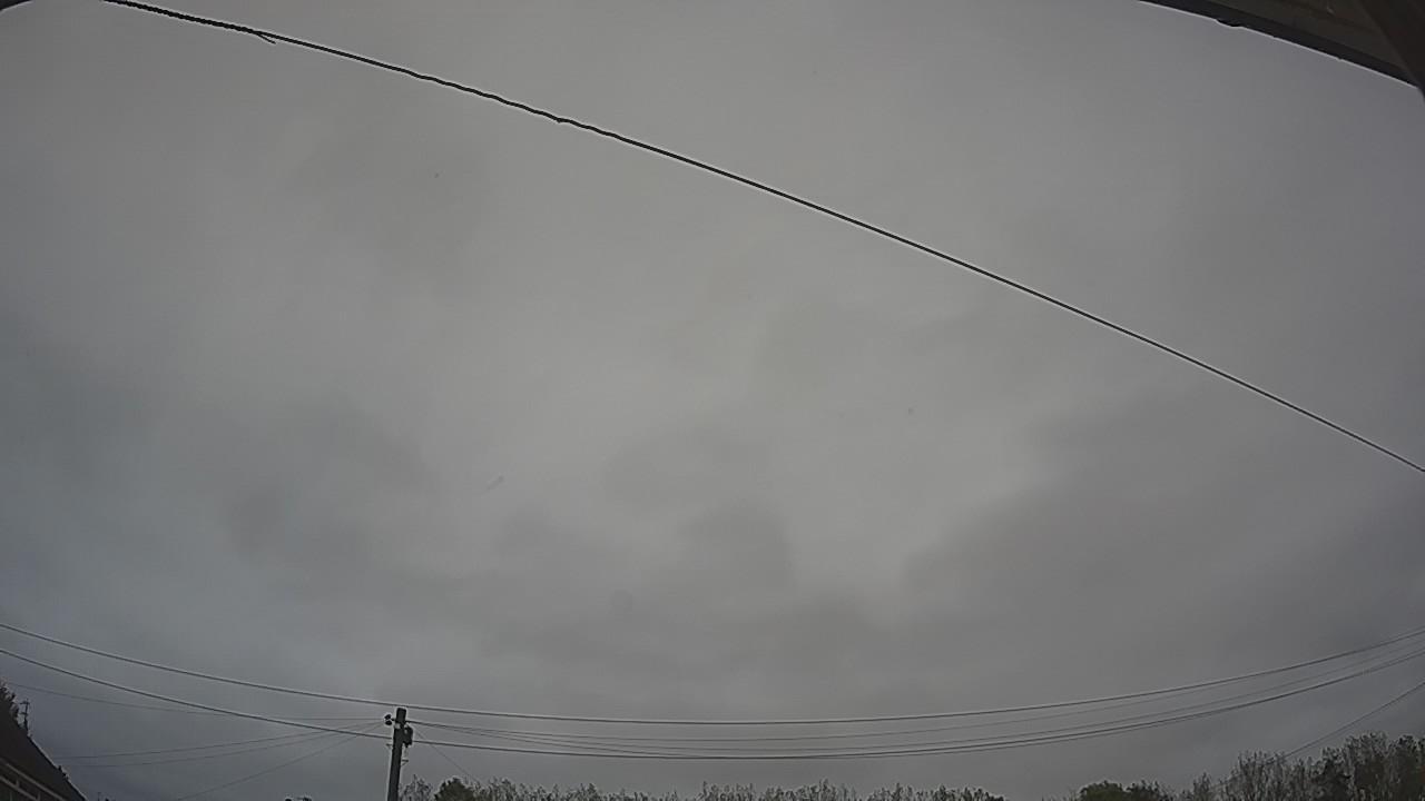20261012_110904_cam2.jpg
