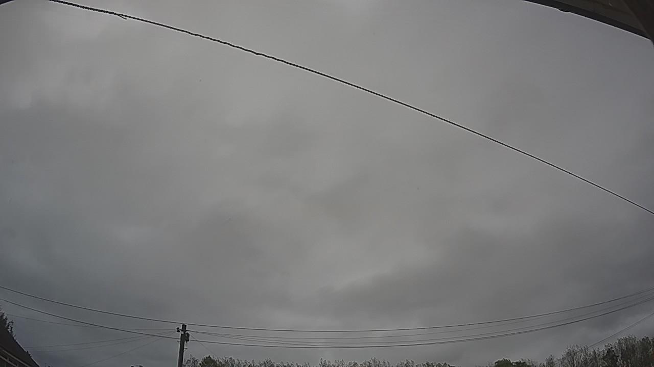 20261012_114405_cam2.jpg