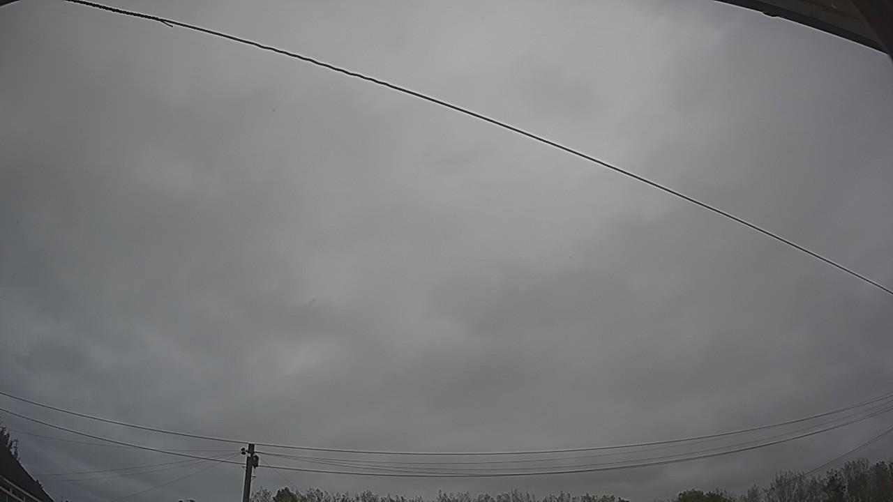 20261012_124452_cam2.jpg