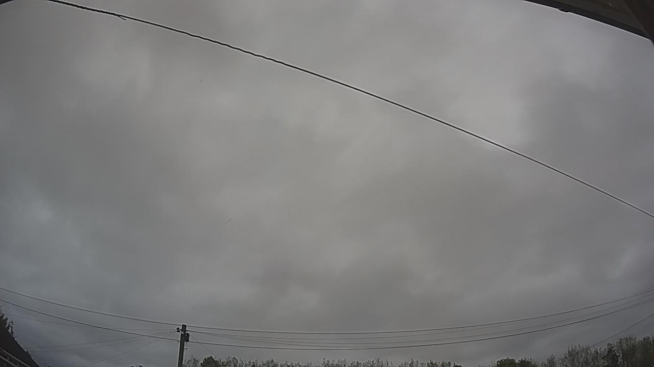 20261012_131010_cam2.jpg