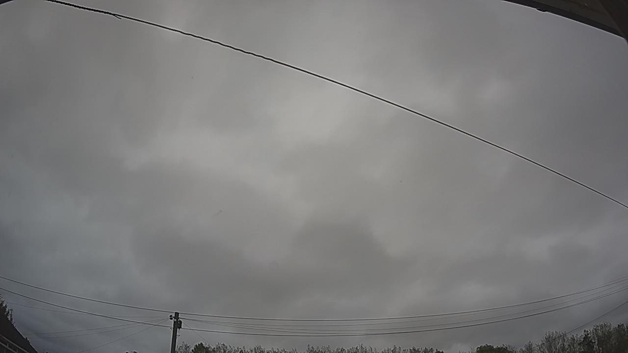 20261012_131420_cam2.jpg