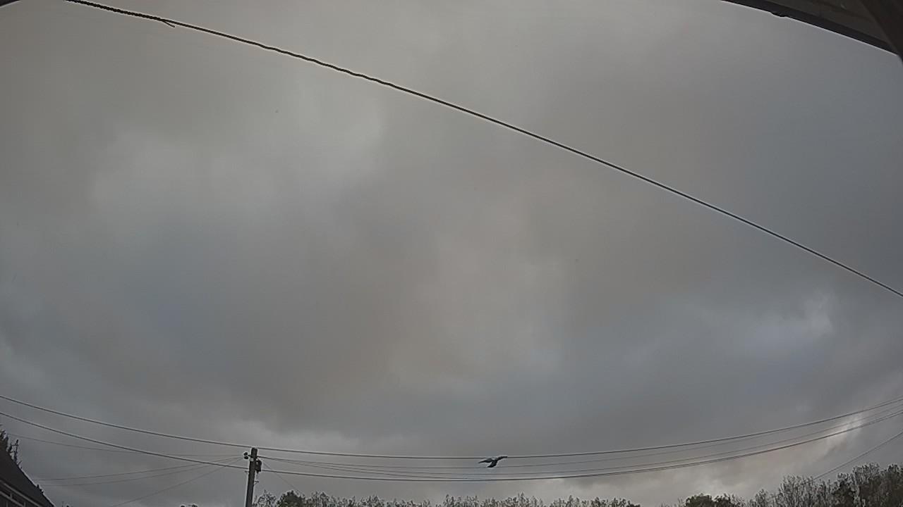 20261012_154932_cam2.jpg